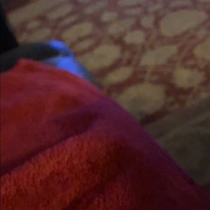 Meet your Posher, Kara